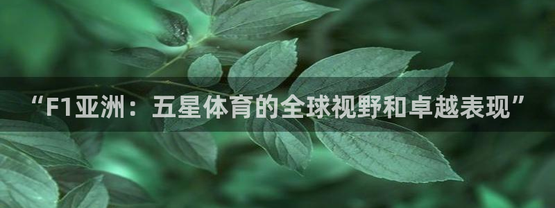 新球体育网球比分：“F1亚洲：五星体育的全球视野和卓越表现”