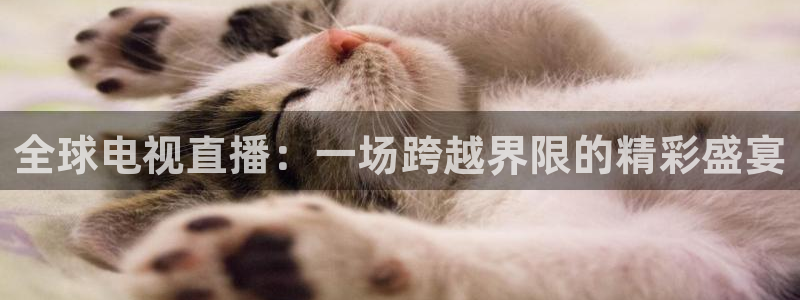 新体球即时比分新球体育：全球电视直播：一场跨越界限的精彩盛宴
