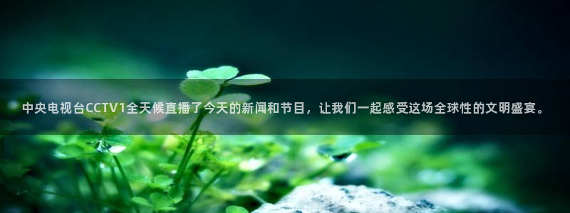 新球体育赛事