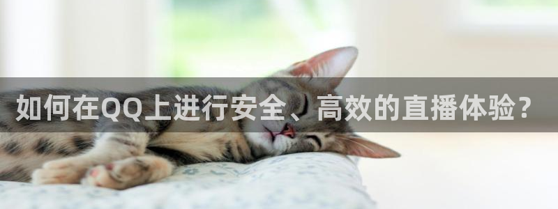 新球直播：如何在QQ上进行安全、高效的直播体验？